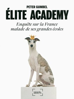cover image of Élite academy. Enquête sur la France malade de ses grandes écoles